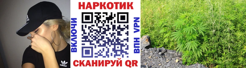 Купить наркотики Александровское Марихуана  Кокаин  Гашиш  MDMA  Меф мяу мяу 