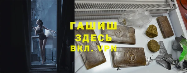 apvp Бердск