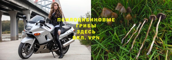 jwh Медногорск