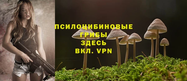 не бодяженный Карталы