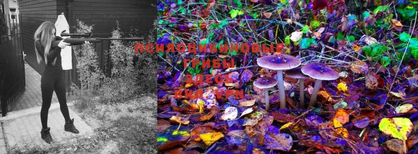 бошки Мегион